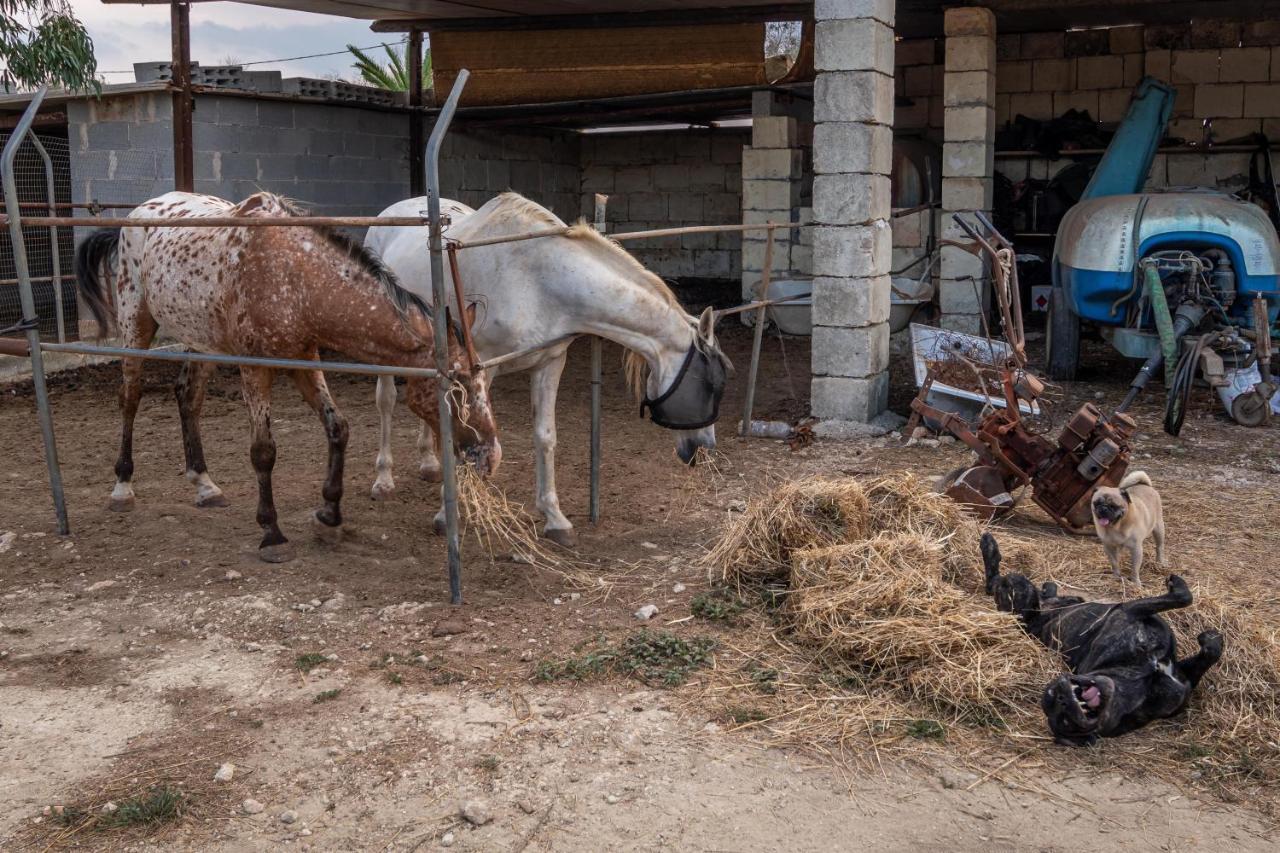 Masseria Cinti Bagnolo del Salento Ngoại thất bức ảnh